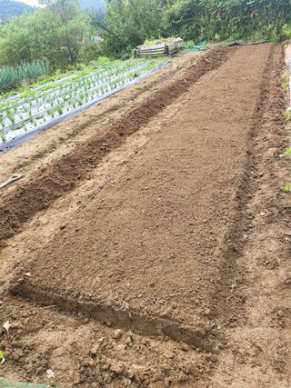 늘찬님의 자유주제 · 자유게시판 작성글 사진