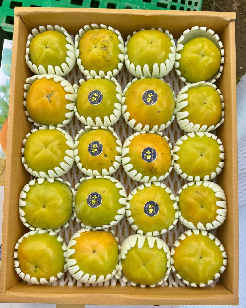 농부손녀님의 장터 판매 상품 [달콤 아삭한 태추단감 2kg 4.5kg 10kg] 첨부 사진