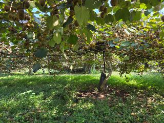 노고단님의 자유주제 · 자유게시판 작성글 사진