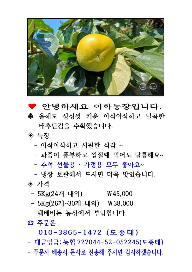장터 상품 [5kg 태추단감] 썸네일