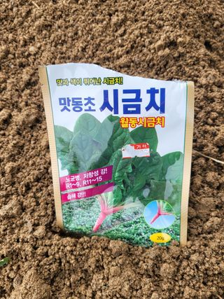 늘찬님의 자유주제 · 자유게시판 작성글 사진