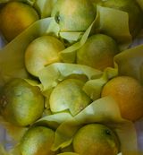 팜모닝 · 게시글 이미지