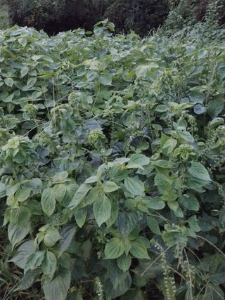 장준호님의 자유주제 · 자유게시판 작성글 사진