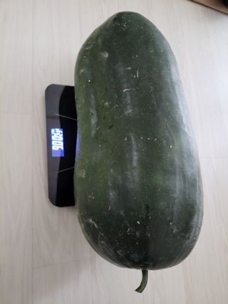 원빈님의 자유주제 · 자유게시판 작성글 사진