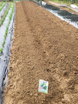 늘찬님의 자유주제 · 자유게시판 작성글 사진