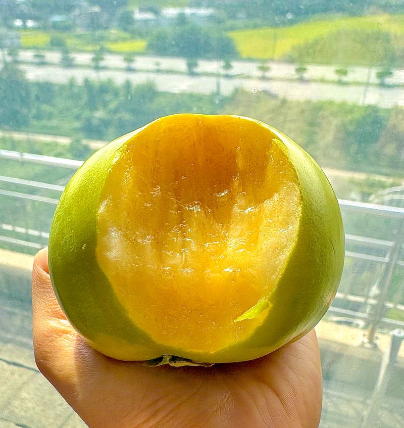 농부손녀님의 장터 판매 상품 [달콤 아삭한 태추단감 2kg 4.5kg 10kg] 첨부 사진