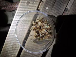 삼태성님의 자유주제 · 자유게시판 작성글 사진