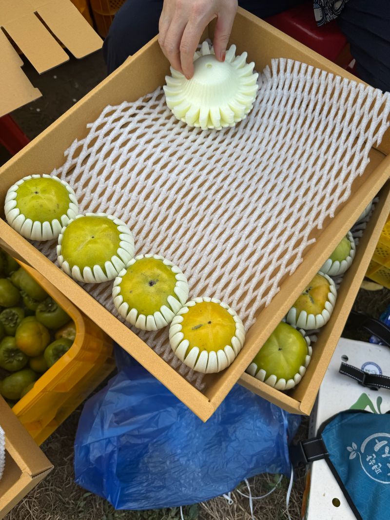 농부손녀님의 장터 판매 상품 [달콤 아삭한 태추단감 2kg 4.5kg 10kg] 첨부 사진