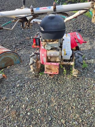 장지영님의 작성글 사진