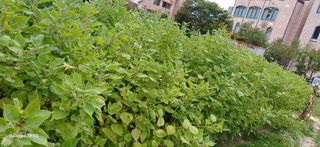 쏘쿠라퇘지님의 자유주제 · 자유게시판 작성글 사진