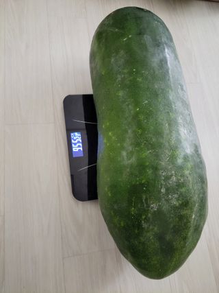 원빈님의 자유주제 · 자유게시판 작성글 사진