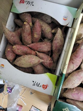 유경희님의 자유주제 · 자유게시판 작성글 사진