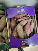 팜모닝 자유주제·자유게시판 게시글 이미지