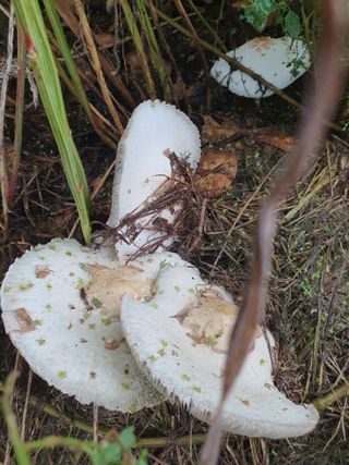 마바리63님의 자유주제 · 자유게시판 작성글 사진