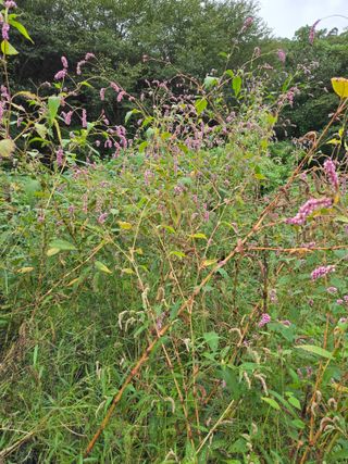 고담님의 자유주제 · 자유게시판 작성글 사진
