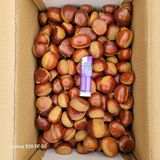 팜모닝 자유주제·자유게시판 게시글 이미지