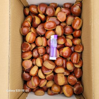 정찬영님의 자유주제 · 자유게시판 작성글 사진