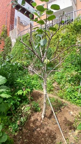 서우림님의 작성글 사진