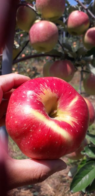 이슬농부농산님의 작성글 사진