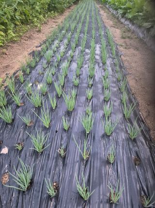 박덕환님의 자유주제 · 자유게시판 작성글 사진