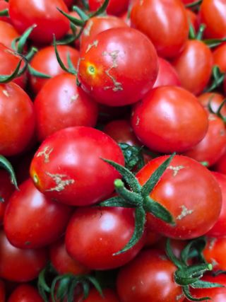 최창남님의 자유주제 · 자유게시판 작성글 사진