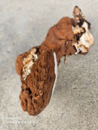 날쌘돌이님의 자유주제 · 자유게시판 작성글 사진