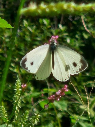 안길원님의 자유주제 · 자유게시판 작성글 사진