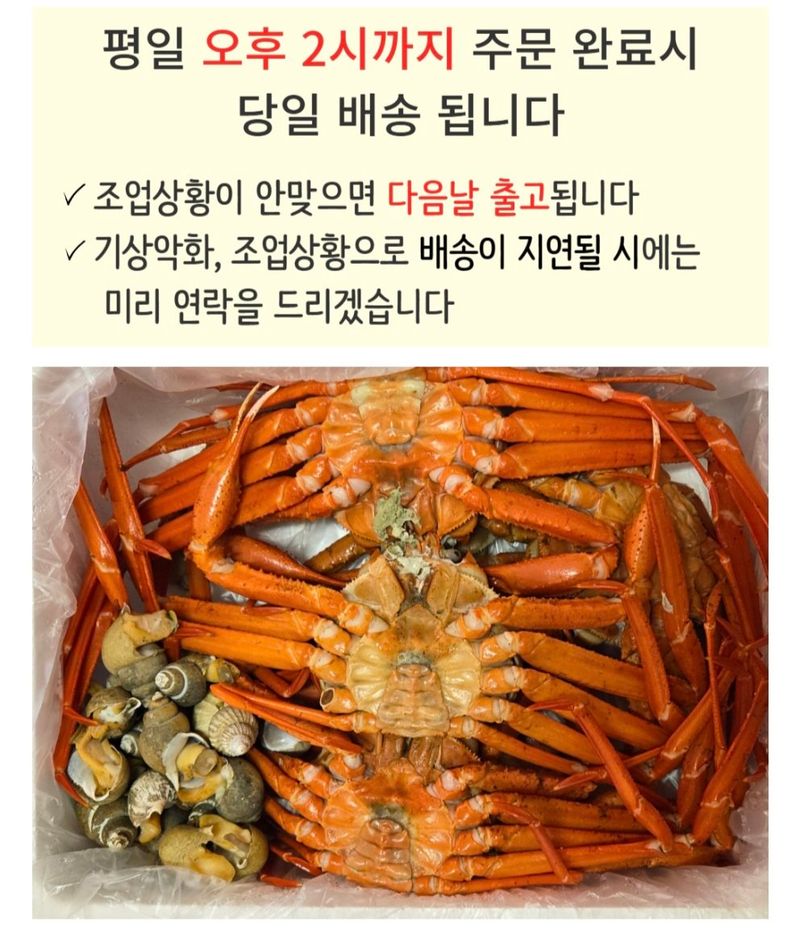 농수사님의 장터 판매 상품 [짜지않은 구룡포 연지홍게 A급 3kg] 첨부 사진