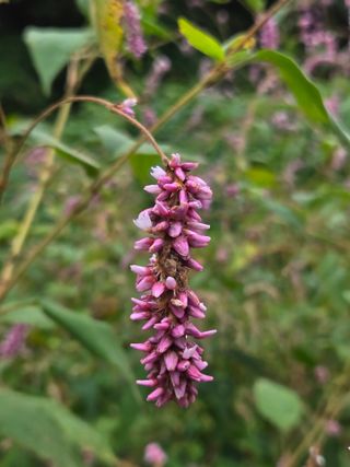 고담님의 자유주제 · 자유게시판 작성글 사진