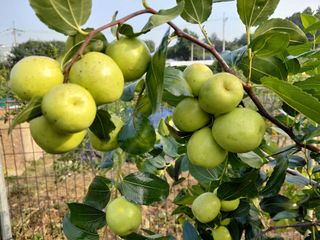 송진호님의 자유주제 · 자유게시판 작성글 사진