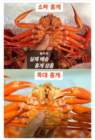 농수사님의 작성글 사진