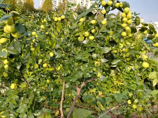 송진호님의 자유주제 · 자유게시판 작성글 사진
