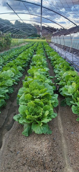 하은와송~♡♡♡~님의 자유주제 · 자유게시판 작성글 사진