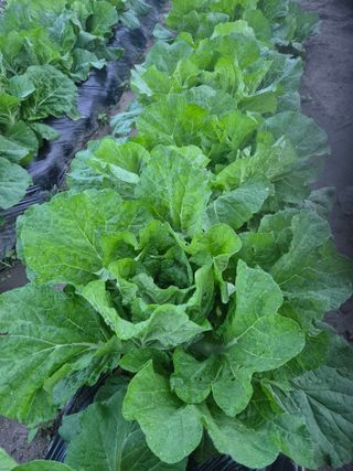 박덕환님의 자유주제 · 자유게시판 작성글 사진