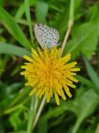 안길원님의 자유주제 · 자유게시판 작성글 사진