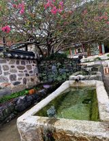 팜모닝 자유주제·자유게시판 게시글 이미지