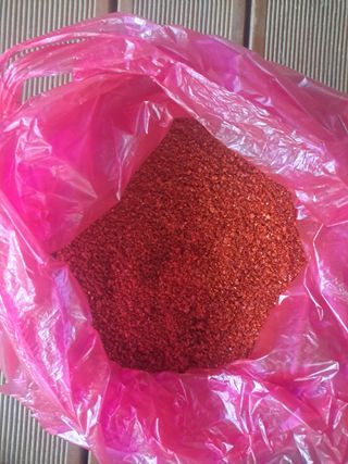 김영복님의 자유주제 · 자유게시판 작성글 사진