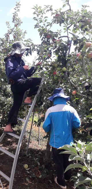 이슬농부농산님의 작성글 사진