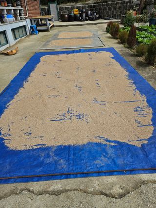 충남공주이도은님의 자유주제 · 자유게시판 작성글 사진