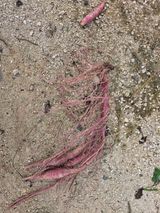 팜모닝 자유주제·자유게시판 게시글 이미지