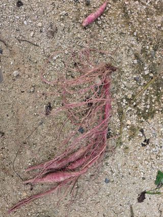 블루베리14645님의 자유주제 · 자유게시판 작성글 사진