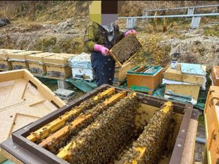 농촌광역시님의 자유주제 · 자유게시판 작성글 사진