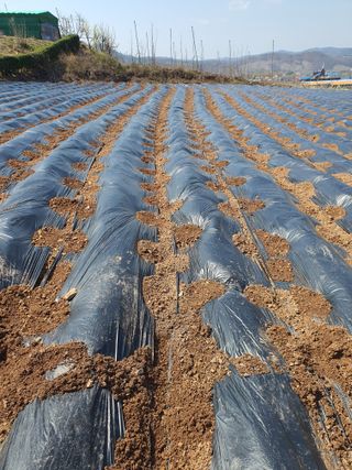 김영복님의 자유주제 · 자유게시판 작성글 사진