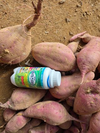 블루베리14645님의 자유주제 · 자유게시판 작성글 사진