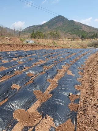 김영복님의 자유주제 · 자유게시판 작성글 사진