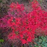 팜모닝 자유주제·자유게시판 게시글 이미지