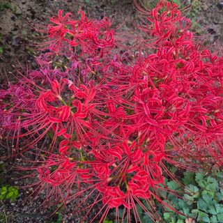 안길원님의 자유주제 · 자유게시판 작성글 사진