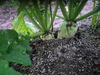 박덕환님의 자유주제 · 자유게시판 작성글 사진