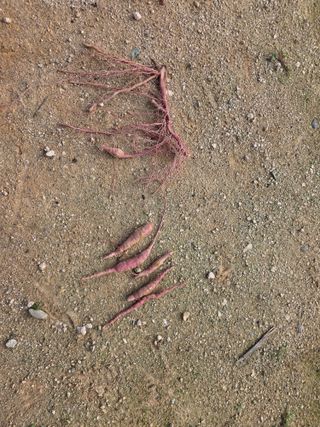 블루베리14645님의 자유주제 · 자유게시판 작성글 사진