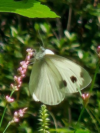 안길원님의 자유주제 · 자유게시판 작성글 사진